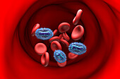 Mpox viruses in bloodstream, illustration