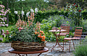 Flower bowl basket with snapdragon (Antirrhinum majus), magic snow, begonia (Begonia), magnificent candle (Gaura), rampion on patio table