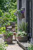 African Daisy basket (Osteospermum), magic bell (Calibrachoa), silver rain, feather grass and fan flower 'Trio Mio' in pots on patio