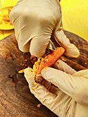 Fresh turmeric root is peeled