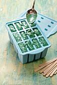 Spirulina ice cream in plastic mould