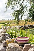 Flowerbed in a rural setting with ceramic bird bath