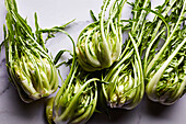 Puntarella