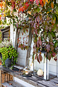 Herbstliche Terrassendekoration unter Weinlaub