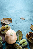 Butternut squash and chestnuts