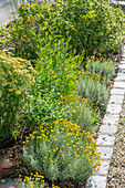 Beeteinfassung mit Heiligenkraut, Salbei, Zitronenmelisse und Schafgarbe