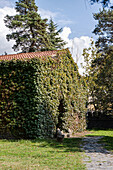 Mit Efeu bewachsenes Steinhaus im herbstlichen Garten