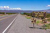 The Recta del Tin Tin, a long, straight road through Los Cardones National Park in Salta Province, Argentina.