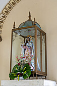 The statue of the Virgin Mary in the Church of Our Lady of the Rosary, Monteros, Argentina, decorated with palm leaves for Palm Sunday.