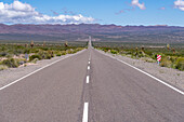 The Recta del Tin Tin, a long, straight road through Los Cardones National Park in Salta Province, Argentina.