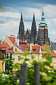 Blick auf die Prager Skyline und den Veitsdom vom Grande Classic Panorama aus