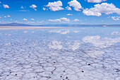 Clouds refected on a shallow sheet of water over polygon shapes on the salt flats of Salinas Grandes in northwest Argentina.