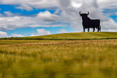 Long exposure shot of the Osborne bull standing in a wheat field under a dynamic sky in Seville, Spain.