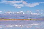 The snow-capped Nevado de Chañi refected on a shallow sheet of water on the salt flats of Salinas Grandes in northwest Argentina.