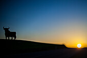 Tilt-shift lens photo of the Osborne Bull silhouette against a vibrant sunset in Seville, Spain. Peaceful and iconic scene.