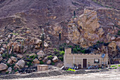 Cardón cactus by a farm house in the eroded canyon of the Cuesta de Lipan between Purmamarca & Salinas Grande in Argentina.