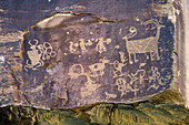 A pre-Hispanic Amerindian rock art petropglyph panel of the Fremont Culture in Nine Mile Canyon, Utah.