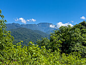 Der subtropische Yungas-Wald im Calilegua-Nationalpark im UNESCO-Biosphärenreservat Yungas in Argentinien. Im Hintergrund ist die Sierra de Tilcara zu sehen