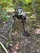 Metal sculpture of a Runa Uturunco along a trail in Calilegua National Park in Argentina. It is were-puma character in indigenous folklore with Quechua origins.