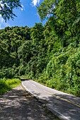 Route 9 winding through the lush Yungas subtropical rainforest between Salta and San Salvador de Jujuy, Argentina.