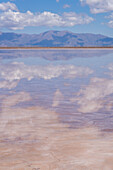 Clouds refected on a shallow sheet of water on the salt flats of Salinas Grandes in northwest Argentina.