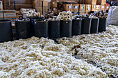 Washed & spin-dried sheep's wool laid out on tarps to dry at Hilandería Warmi, a weaving mill in Palpalá, Argentina. Barrels of yarn spools are behind.