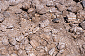 Broken rocks of salt at the Salinas Grandes salt flats on the altiplano in northwest Argentina.