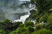 Iguazu Falls National Park in Argentina. A UNESCO World Heritage Site. Pictured is San Martin in the center through the tropical rainforest, with a stone arch or window by the Hidden Falls or Salto Escondido.