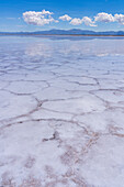 Clouds refected on a shallow sheet of water over polygon shapes on the salt flats of Salinas Grandes in northwest Argentina.