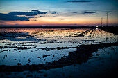 Scenic view of winter flooded fields in Isla Mayor, Sevilla, Spain, creating a picturesque landscape ideal for rice cultivation at sunset.