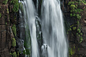 Der Nationalpark Iguazu Falls in Argentinien, von Brasilien aus gesehen. Ein UNESCO-Welterbe. Das Bild zeigt einen der Drei-Musketiere-Fälle oder Salto Tres Mosqueteros