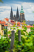 Blick auf die Prager Skyline und den Veitsdom aus dem Grande Classic Panorama