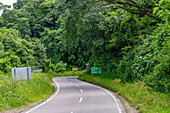 Route 9 winding through the lush Yungas subtropical rainforest between Salta and San Salvador de Jujuy, Argentina.