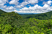 The lush Yungas subtropical rainforest between Salta and San Salvador de Jujuy, Argentina.