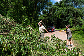 Parkranger beseitigen mit einer Machete einen umgestürzten Baum, der die Provinzstraße 83 im Calilegua-Nationalpark in Argentinien blockiert