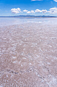 Polygon shapes on the salt flats of Salinas Grandes in northwest Argentina.