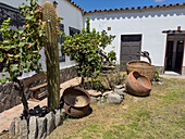 Cactus & antique ceramic pots decorate the patio of the Bodega Nanni Winery, Cafayete, Argentina.