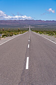 The Recta del Tin Tin, a long, straight road through Los Cardones National Park in Salta Province, Argentina.