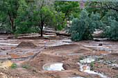 Flash flooding in the BMX bike park after a summer rain storm in Moab, Utah.