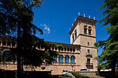 A view of the Palacio de los Condes de GÃ³mara in Soria, Spain, a historic building with a tall tower and arched windows.