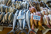 Mercado De Marisco Cinta Costera (Seafood Market).