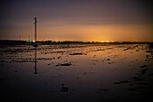 A serene view of flooded rice fields during winter in Isla Mayor, Seville, Spain, showcasing the tranquil landscape under a glowing night sky.