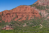 Ein kleines Haus in der malerischen Quebrada de Escoipe, Valle de Lerma bei Salta, Argentinien