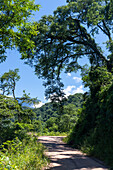 Provinzstraße 83 in die Yungas im Calilegua-Nationalpark im UNESCO-Biosphärenreservat Yungas in Argentinien