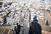 Explore the northward vista of Seville\'s city center captured from the Giralda tower, showcasing the unique architecture and bustling streets below.