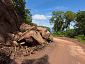 Ein Felssturz auf der Route 83 im Calilegua-Nationalpark in Argentinien