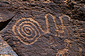 A pre-Hispanic Native American Fremont Culture rock art petroglyph panel in Nine Mile Canyon, Utah. A large spiral snake is depicted.