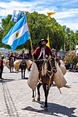 A bearded gaucho in traditional outfit carries an Argentine flag riding on horseback in a parade in Cachi, Argentina. Cowhide guardemontes protect the rider from thorn bushes common in the area.