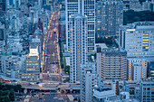 Stadtbild von Tokio. Panoramablick über die Stadt von der Beobachtungsetage des Tokyo Tower, Tokio, Japan