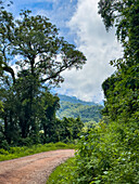 Provinzstraße 83 in den Yungas im Calilegua-Nationalpark im UNESCO-Biosphärenreservat Yungas in Argentinien